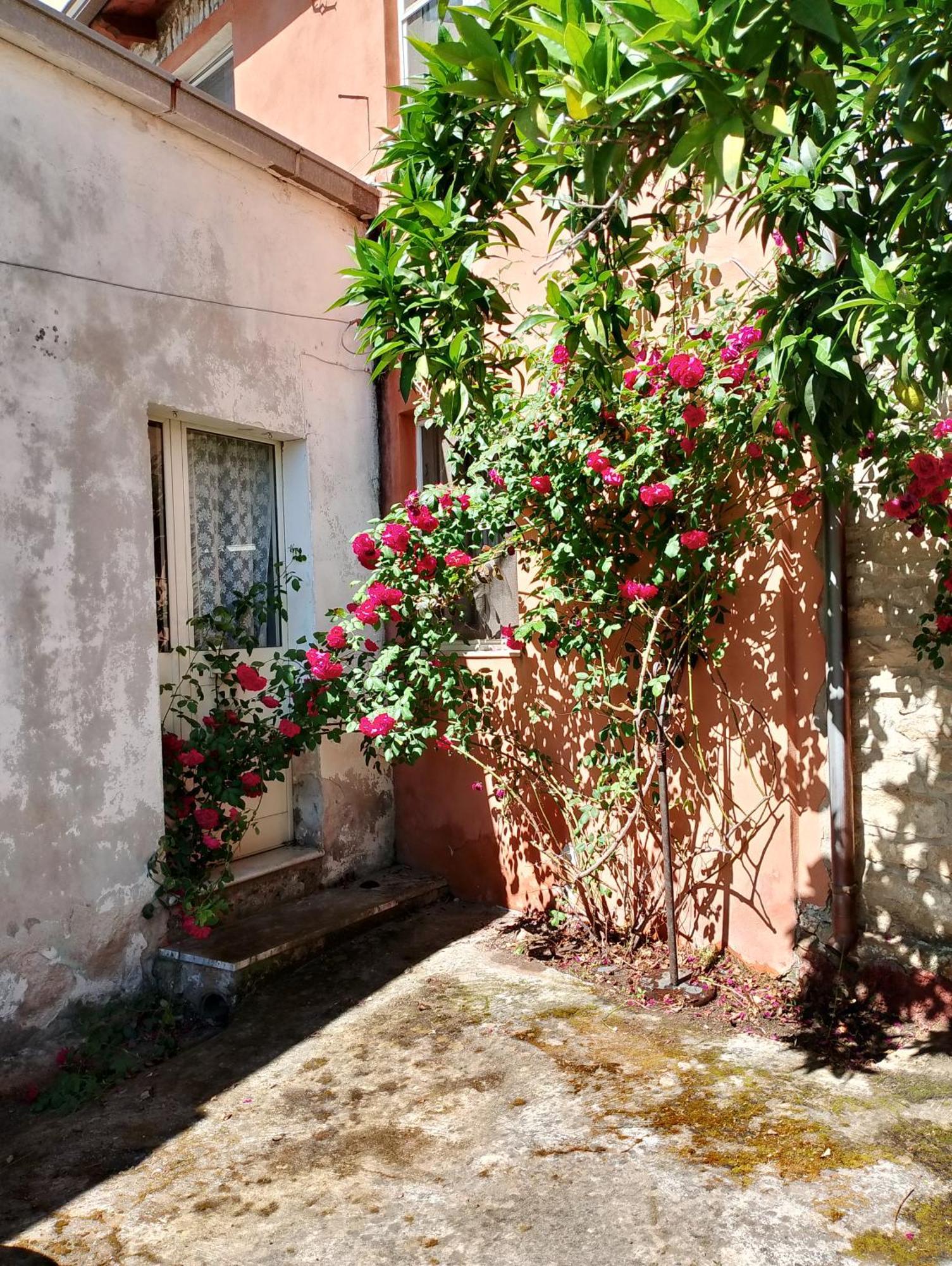 La Corte Degli Aranci Senorbi Esterno foto